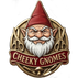 Translation missing: en.Cheeky Gnomes accessibility.home